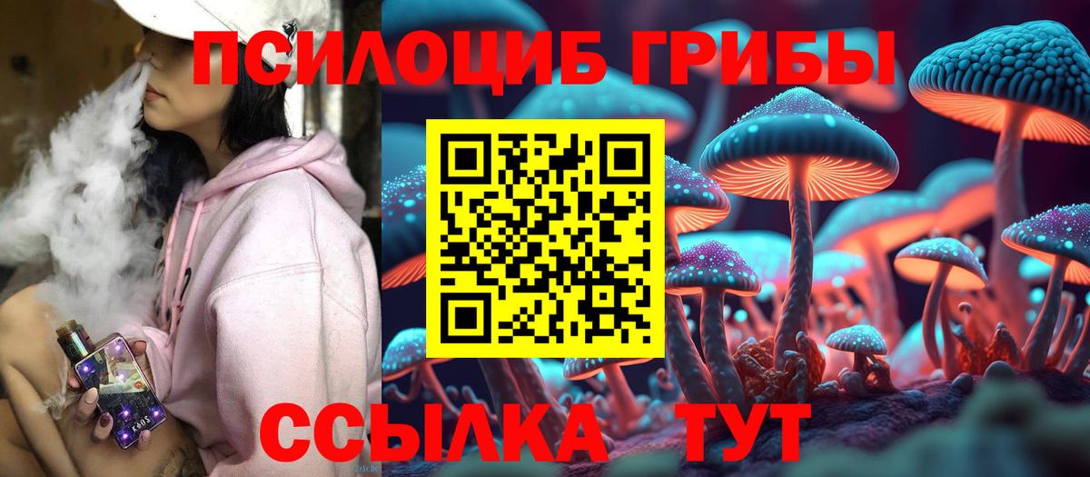 Псилоцибиновые грибы мицелий  Галлюциногенные грибы Psilocybe  Хасавюрт  Вход с VPN 
