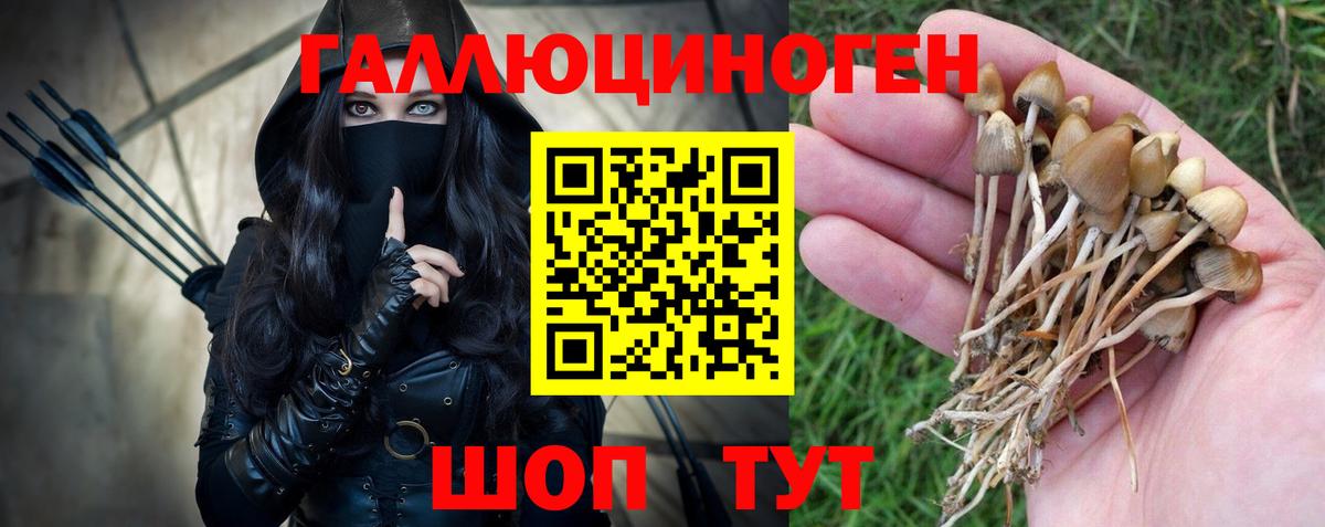 Псилоцибиновые грибы MAGIC MUSHROOMS Хасавюрт